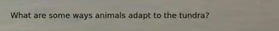 What are some ways animals adapt to the tundra?