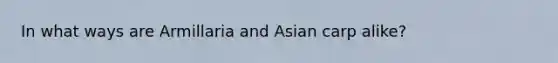 In what ways are Armillaria and Asian carp alike?