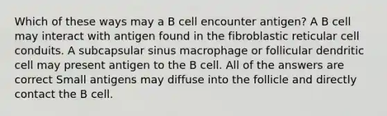 Which of these ways may a B cell encounter antigen? A B cell may interact with antigen found in the fibroblastic reticular cell conduits. A subcapsular sinus macrophage or follicular dendritic cell may present antigen to the B cell. All of the answers are correct Small antigens may diffuse into the follicle and directly contact the B cell.