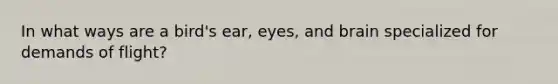 In what ways are a bird's ear, eyes, and brain specialized for demands of flight?