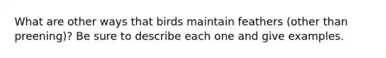 What are other ways that birds maintain feathers (other than preening)? Be sure to describe each one and give examples.