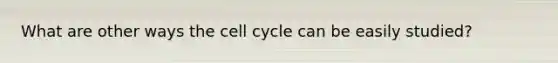 What are other ways the cell cycle can be easily studied?