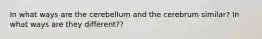 In what ways are the cerebellum and the cerebrum similar? In what ways are they different??