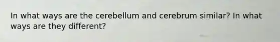 In what ways are the cerebellum and cerebrum similar? In what ways are they different?