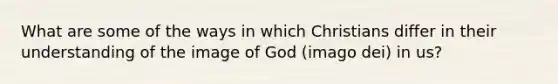 What are some of the ways in which Christians differ in their understanding of the image of God (imago dei) in us?