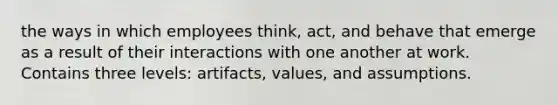 the ways in which employees think, act, and behave that emerge as a result of their interactions with one another at work. Contains three levels: artifacts, values, and assumptions.