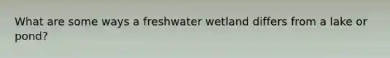 What are some ways a freshwater wetland differs from a lake or pond?