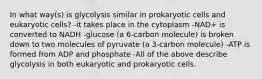 In what way(s) is glycolysis similar in prokaryotic cells and eukaryotic cells? -it takes place in the cytoplasm -NAD+ is converted to NADH -glucose (a 6-carbon molecule) is broken down to two molecules of pyruvate (a 3-carbon molecule) -ATP is formed from ADP and phosphate -All of the above describe glycolysis in both eukaryotic and prokaryotic cells.