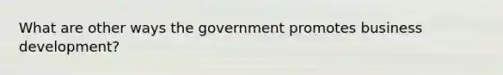 What are other ways the government promotes business development?