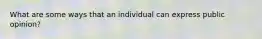 What are some ways that an individual can express public opinion?