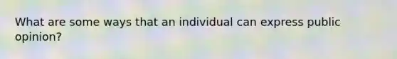 What are some ways that an individual can express public opinion?