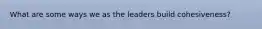 What are some ways we as the leaders build cohesiveness?