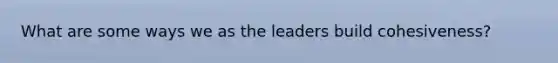 What are some ways we as the leaders build cohesiveness?