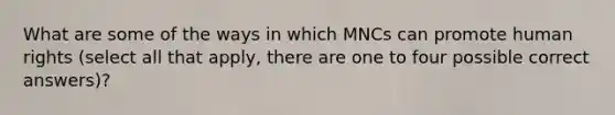 What are some of the ways in which MNCs can promote human rights (select all that apply, there are one to four possible correct answers)?