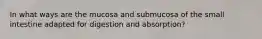 In what ways are the mucosa and submucosa of the small intestine adapted for digestion and absorption?