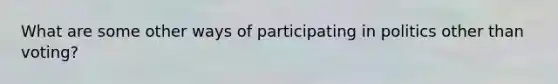 What are some other ways of participating in politics other than voting?