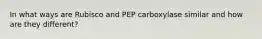 In what ways are Rubisco and PEP carboxylase similar and how are they different?