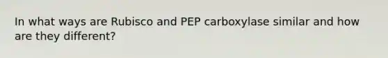 In what ways are Rubisco and PEP carboxylase similar and how are they different?