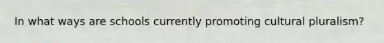In what ways are schools currently promoting cultural pluralism?