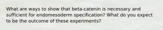 What are ways to show that beta-catenin is necessary and sufficient for endomesoderm specification? What do you expect to be the outcome of these experiments?