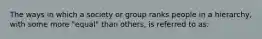 The ways in which a society or group ranks people in a hierarchy, with some more "equal" than others, is referred to as: