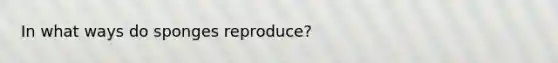 In what ways do sponges reproduce?