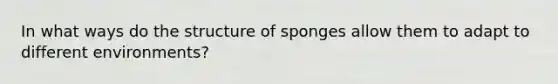 In what ways do the structure of sponges allow them to adapt to different environments?