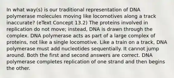 In what way(s) is our traditional representation of DNA polymerase molecules moving like locomotives along a track inaccurate? (eText Concept 13.2) The proteins involved in replication do not move; instead, DNA is drawn through the complex. DNA polymerase acts as part of a large complex of proteins, not like a single locomotive. Like a train on a track, DNA polymerase must add nucleotides sequentially. It cannot jump around. Both the first and second answers are correct. DNA polymerase completes replication of one strand and then begins the other.