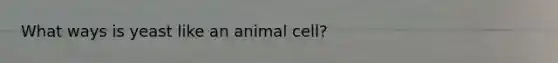 What ways is yeast like an animal cell?