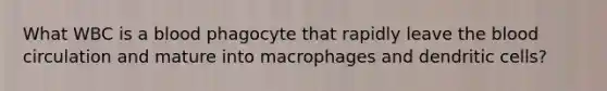 What WBC is a blood phagocyte that rapidly leave <a href='https://www.questionai.com/knowledge/k7oXMfj7lk-the-blood' class='anchor-knowledge'>the blood</a> circulation and mature into macrophages and dendritic cells?