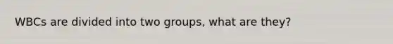 WBCs are divided into two groups, what are they?