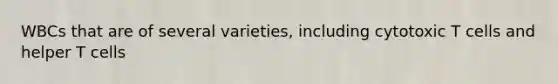 WBCs that are of several varieties, including cytotoxic T cells and helper T cells