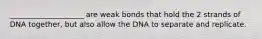 ____________________ are weak bonds that hold the 2 strands of DNA together, but also allow the DNA to separate and replicate.