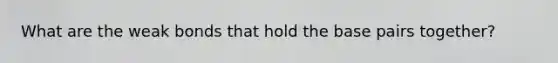 What are the weak bonds that hold the base pairs together?