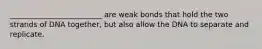 _________________________ are weak bonds that hold the two strands of DNA together, but also allow the DNA to separate and replicate.