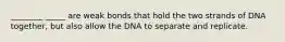 ________ _____ are weak bonds that hold the two strands of DNA together, but also allow the DNA to separate and replicate.