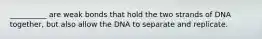 __________ are weak bonds that hold the two strands of DNA together, but also allow the DNA to separate and replicate.