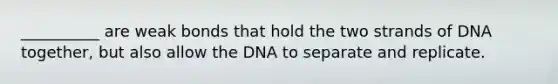 __________ are weak bonds that hold the two strands of DNA together, but also allow the DNA to separate and replicate.