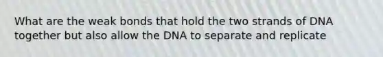 What are the weak bonds that hold the two strands of DNA together but also allow the DNA to separate and replicate