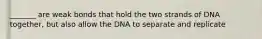 _______ are weak bonds that hold the two strands of DNA together, but also allow the DNA to separate and replicate