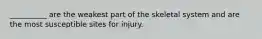 __________ are the weakest part of the skeletal system and are the most susceptible sites for injury.