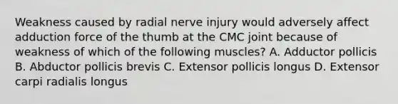 Weakness caused by radial nerve injury would adversely affect adduction force of the thumb at the CMC joint because of weakness of which of the following muscles? A. Adductor pollicis B. Abductor pollicis brevis C. Extensor pollicis longus D. Extensor carpi radialis longus