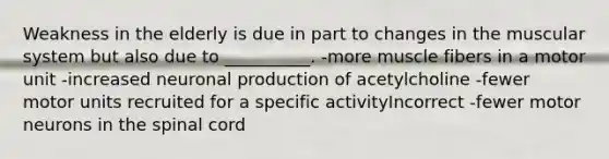 Weakness in the elderly is due in part to changes in the muscular system but also due to __________. -more muscle fibers in a motor unit -increased neuronal production of acetylcholine -fewer motor units recruited for a specific activityIncorrect -fewer motor neurons in the spinal cord