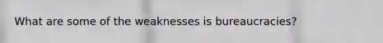 What are some of the weaknesses is bureaucracies?