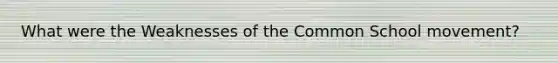 What were the Weaknesses of the Common School movement?