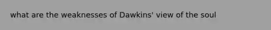 what are the weaknesses of Dawkins' view of the soul