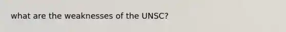 what are the weaknesses of the UNSC?