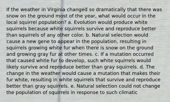 If the weather in Virginia changed so dramatically that there was snow on the ground most of the year, what would occur in the local squirrel population? a. Evolution would produce white squirrels because white squirrels survive and reproduce better than squirrels of any other color. b. Natural selection would cause a new gene to appear in the population, resulting in squirrels growing white fur when there is snow on the ground and growing gray fur at other times. c. If a mutation occurred that caused white fur to develop, such white squirrels would likely survive and reproduce better than gray squirrels. d. The change in the weather would cause a mutation that makes their fur white, resulting in white squirrels that survive and reproduce better than gray squirrels. e. Natural selection could not change the population of squirrels in response to such climatic