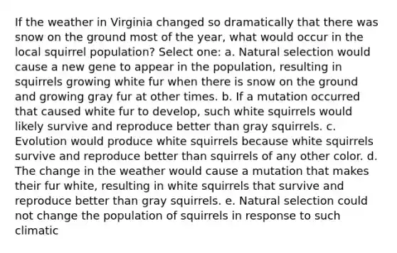 If the weather in Virginia changed so dramatically that there was snow on the ground most of the year, what would occur in the local squirrel population? Select one: a. Natural selection would cause a new gene to appear in the population, resulting in squirrels growing white fur when there is snow on the ground and growing gray fur at other times. b. If a mutation occurred that caused white fur to develop, such white squirrels would likely survive and reproduce better than gray squirrels. c. Evolution would produce white squirrels because white squirrels survive and reproduce better than squirrels of any other color. d. The change in the weather would cause a mutation that makes their fur white, resulting in white squirrels that survive and reproduce better than gray squirrels. e. Natural selection could not change the population of squirrels in response to such climatic