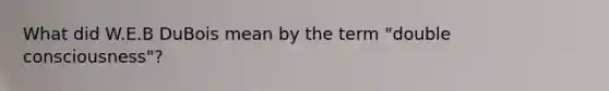 What did W.E.B DuBois mean by the term "double consciousness"?